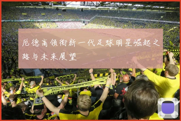 厄德高领衔新一代足球明星崛起之路与未来展望