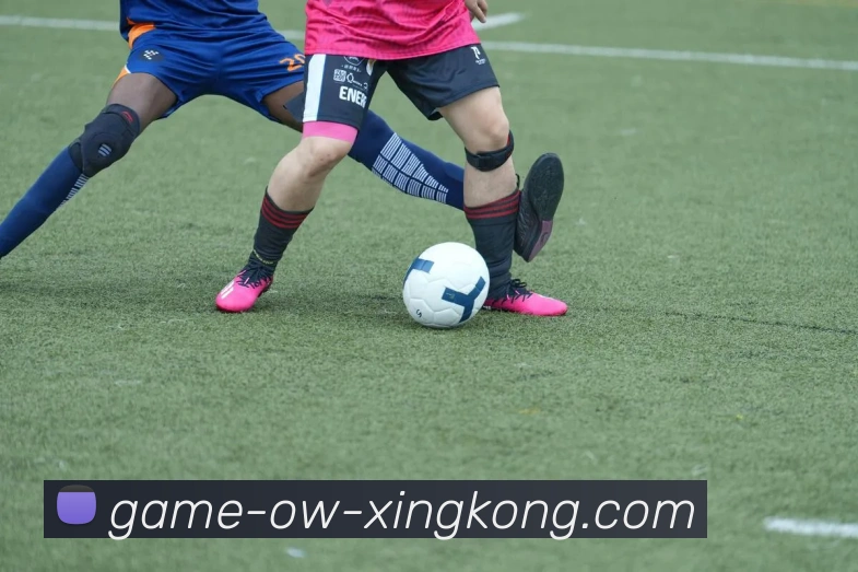 App Interface Preview