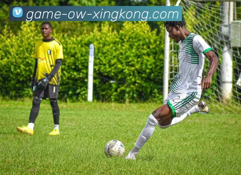 星空体育APP 封面图